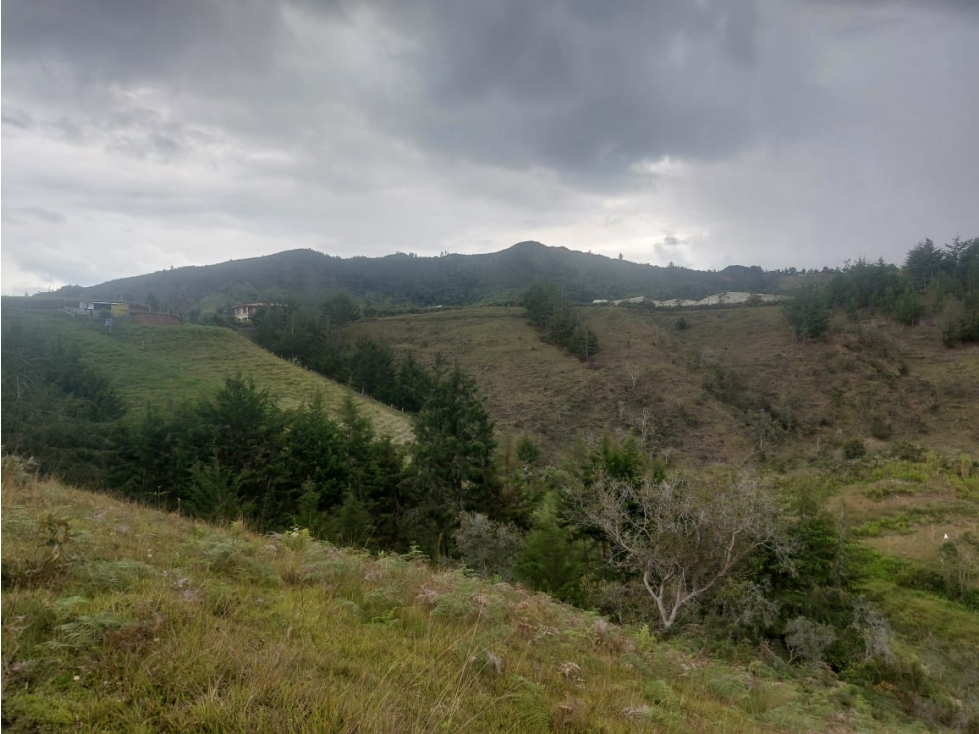 GRAN OPORTUNIDAD DE VIVIR RODEADO CAMPO GUARNE VEREDA LA ENEA
