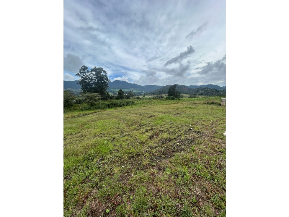 HERMOSO LOTE EN LA CEJA EN UNIDAD CERRADA SECTOR EL TAMBO