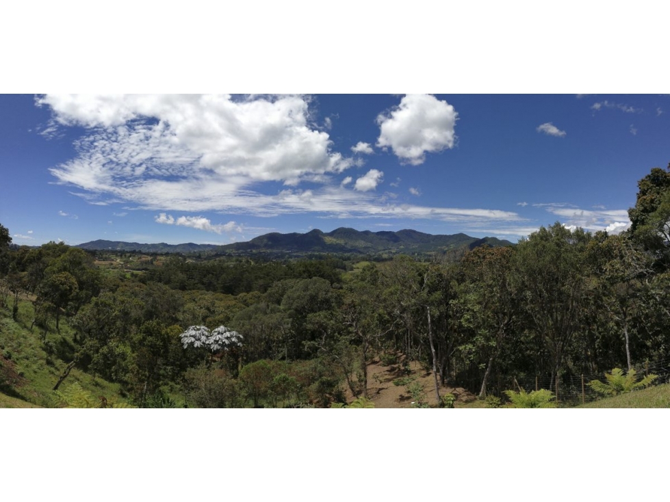 HERMOSOS LOTES EN RIONEGRO VIA SAN ANTONIO LA CEJA — foto 3