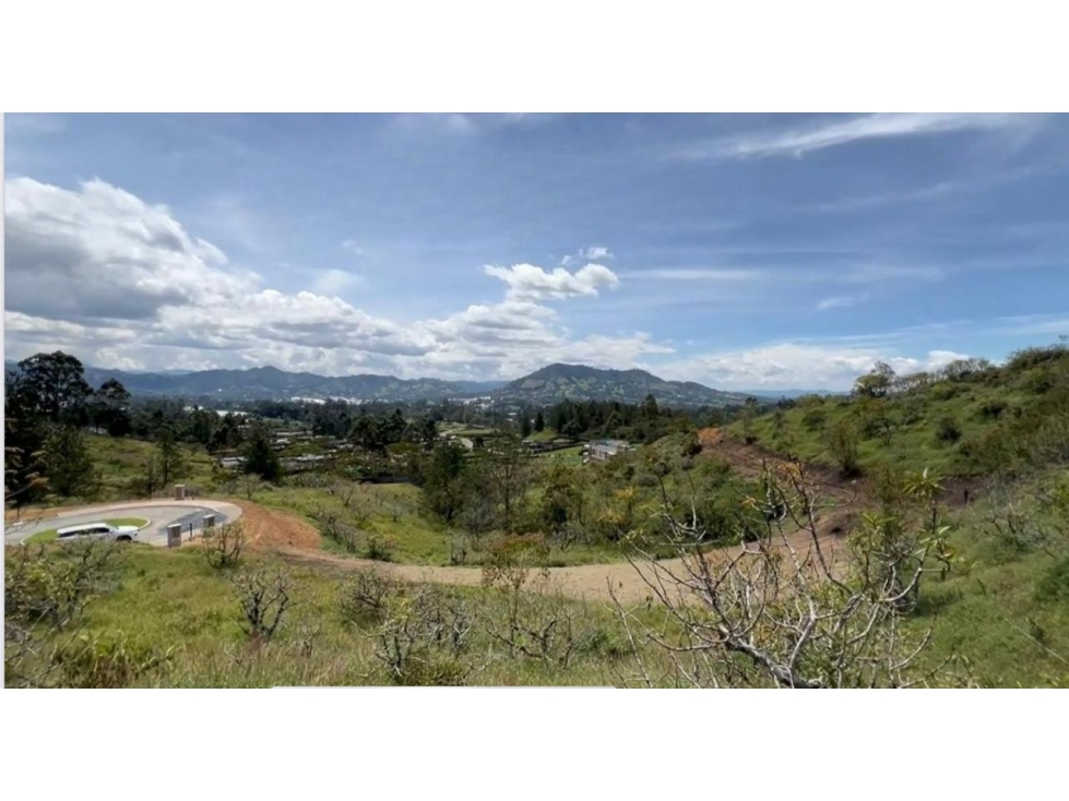 LOTE ORIENTE CON VISTA VIA SAN ANTONIO LA CEJA YARUMO  PARCELACION