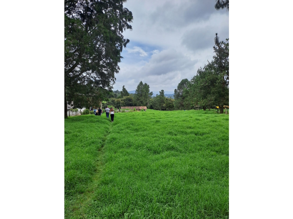 LOTE SANTA ELENA VEREDA SAN ISIDRO