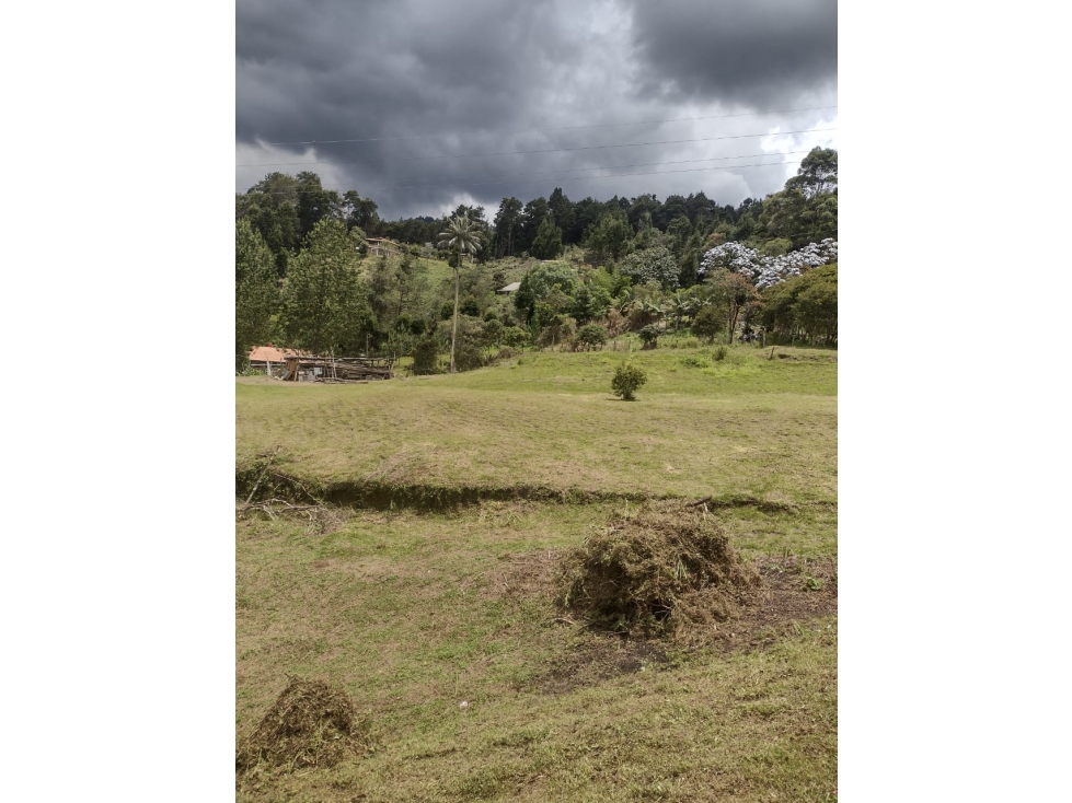 LOTE GUARNE PROINDIVISO PERFECTO PARA PARCELAR — foto 2
