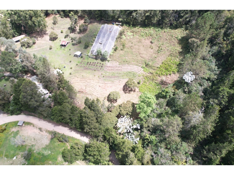 FINCA GUARNE EL SANGO MUY CERCA A LA MEDELLIN BOGOTA PARA PARCELAR — foto 5