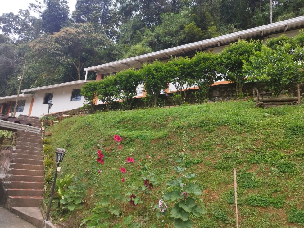 LOTE FINCA CALDAS ANTIOQUIA EXCENTE UBICACION - 2