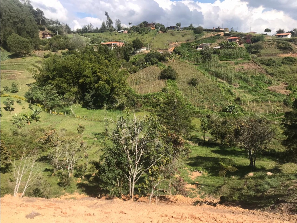 LOTES SAN VICENTE VEREDA EL AGUILA — foto 3