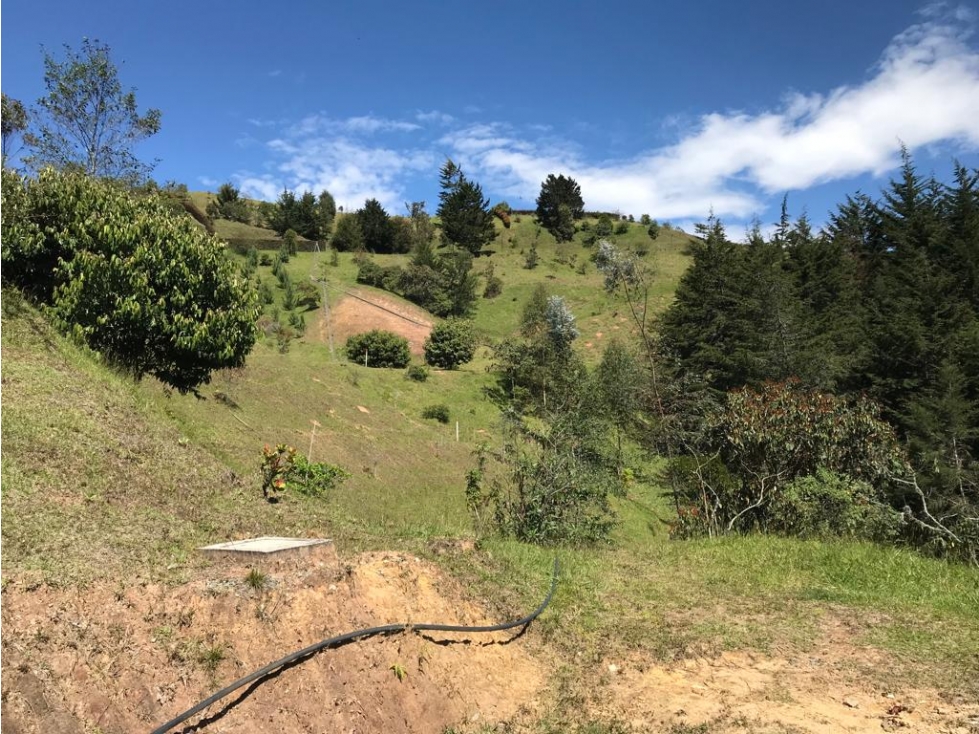 HERMOSO LOTE PARCELACION VIA EL RETIRO LA CEJA ESPECTACULAR VISTA — foto 4