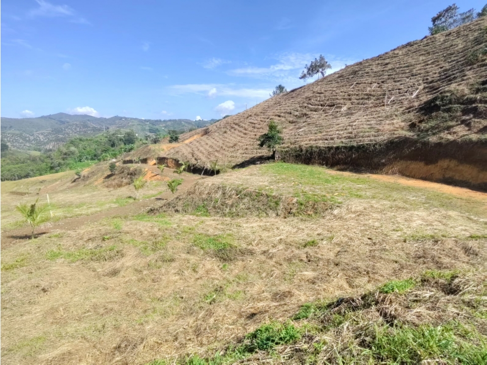 HERMOSOS LOTES EN LOTIZACION ABIERTA SAN VICENTE VIA EL PEÑOL
