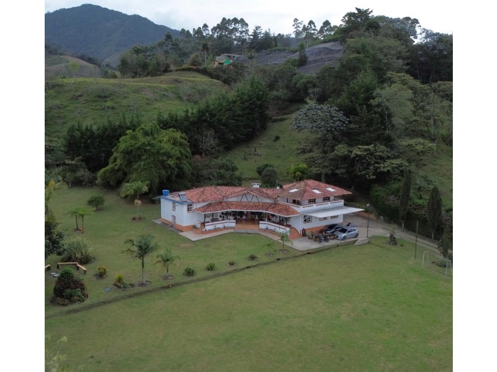 FINCA EN LA CEJA LOTE PLANO A 3 KILOMETROS DEL PARQUE SECTOR ALCALA — foto 4