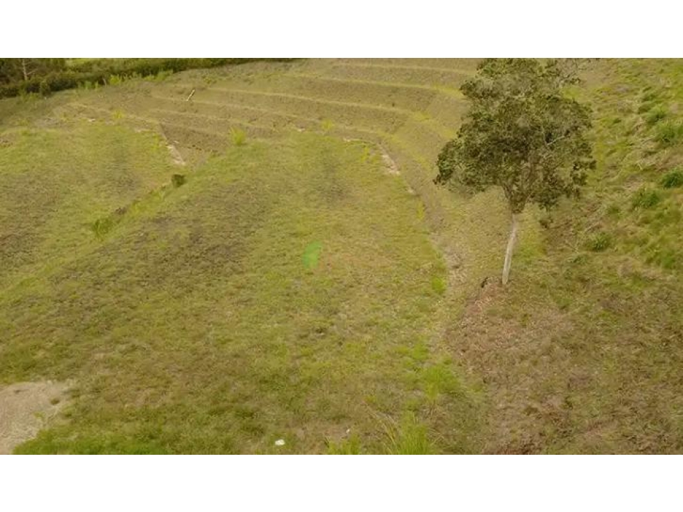 LOTE EN RIONEGRO VEREDA MAMPUESTO ENTRANDO POR LA MOSQUITA — foto 4