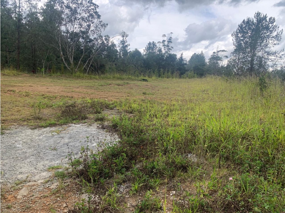 LOTE PRIVADO EL RETIRO VEREDA LEJOS DEL NIDO, EN PARCELACION — foto 5
