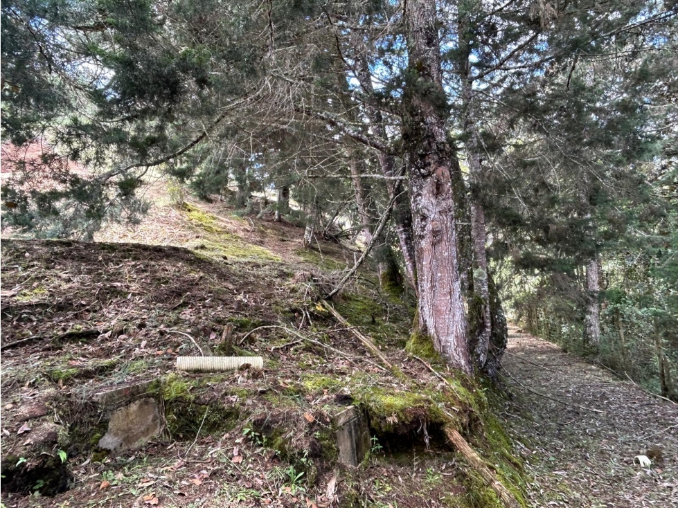LOTE EN PARCELACION EL RETIRO EL CHUSCAL — foto 6