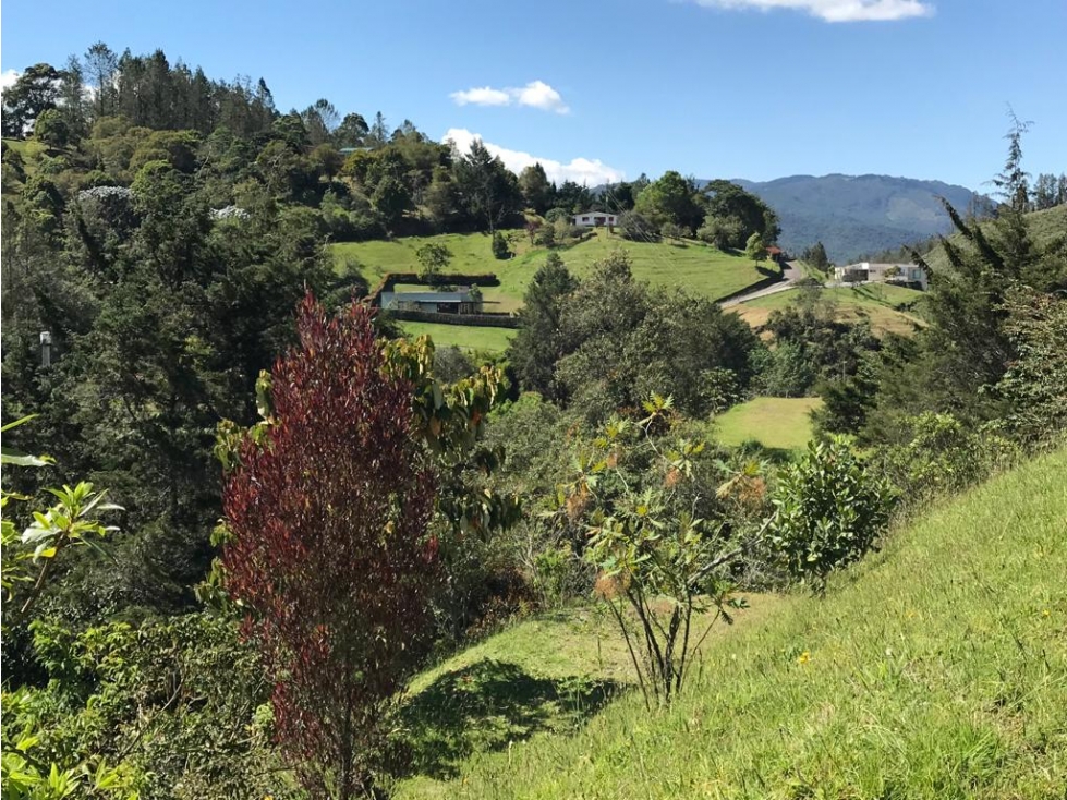 HERMOSO LOTE PARCELACION VIA EL RETIRO LA CEJA ESPECTACULAR VISTA — foto 2