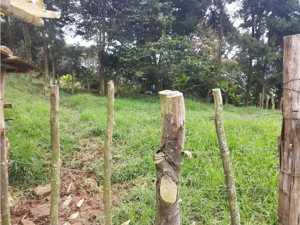 LOTE FINCA CALDAS ANTIOQUIA EXCENTE UBICACION - 3