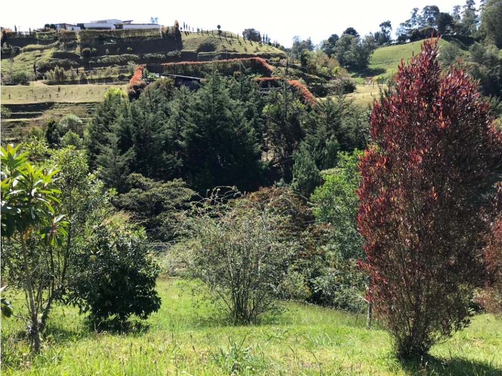HERMOSO LOTE PARCELACION VIA EL RETIRO LA CEJA ESPECTACULAR VISTA — foto 6