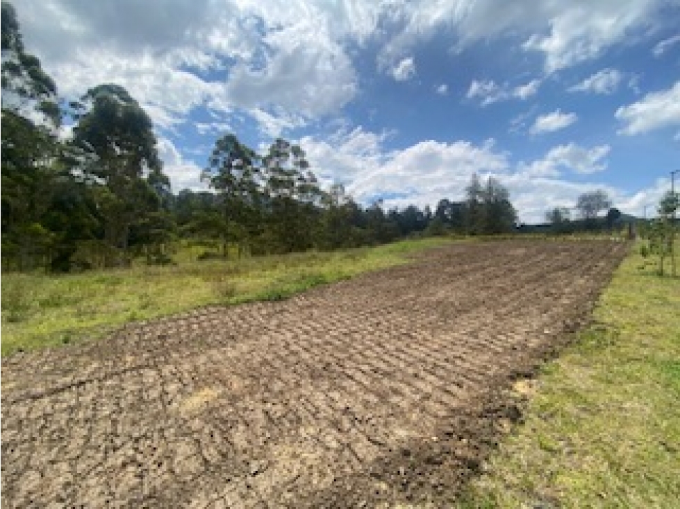 LOTE ORIENTE PARCELACION EL RETIRO SECTOR FIZEBAD — foto 3