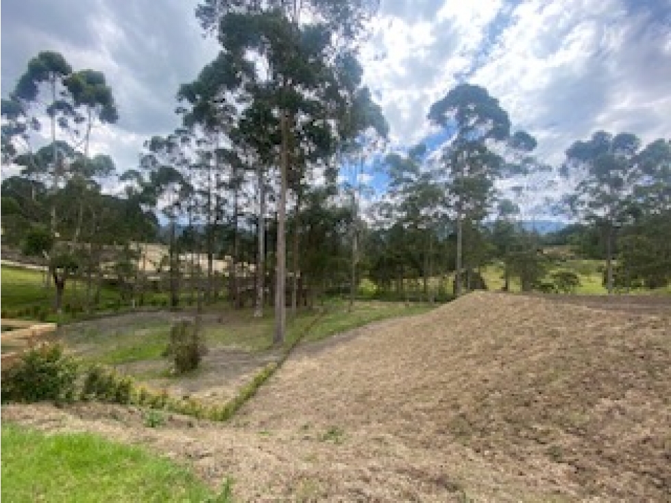 LOTE ORIENTE PARCELACION EL RETIRO SECTOR FIZEBAD — foto 5