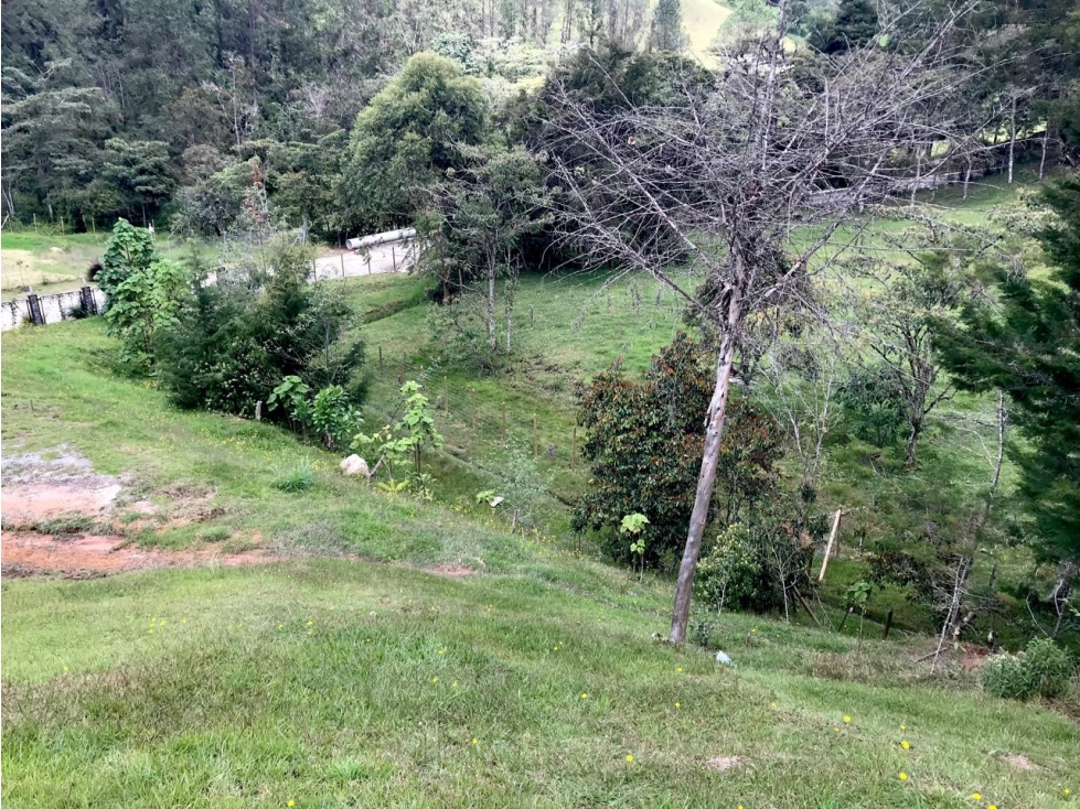 LOTE EL RETIRO VEREDA PANTANILLO EN HERMOSA PARCELACION — foto 2