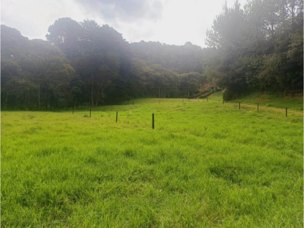 FINCA EN EL RETIRO VEREDA DON DIEGO — foto 3