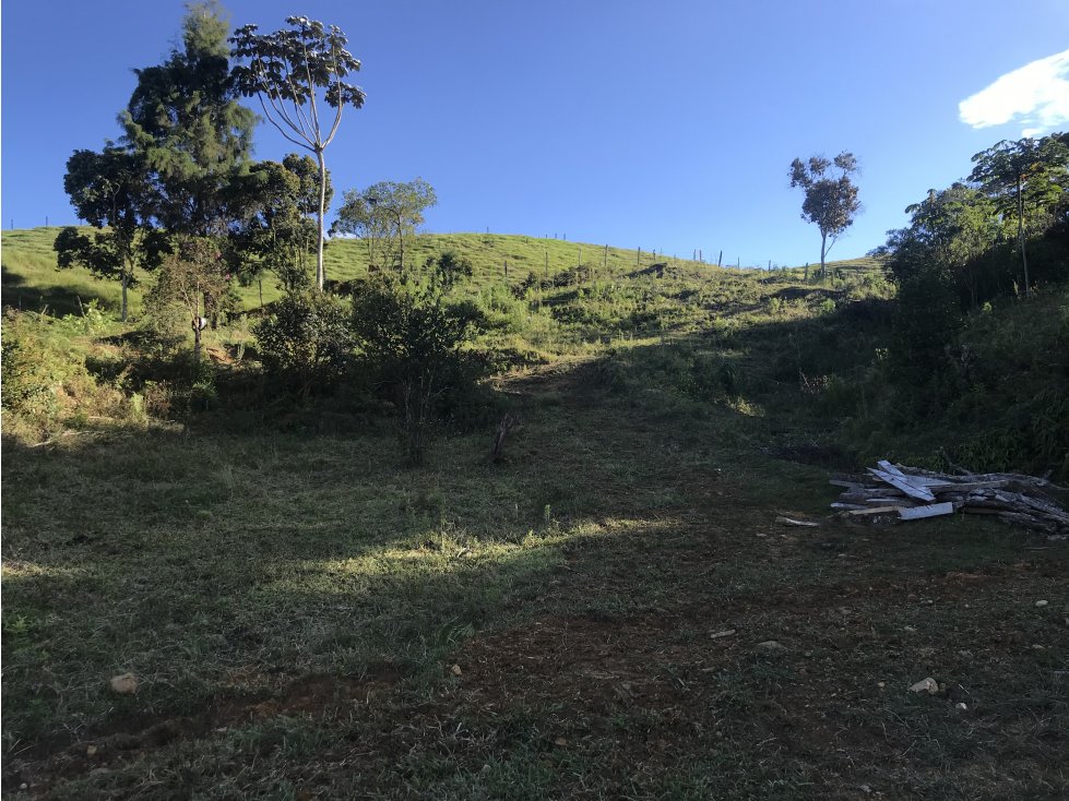 LOTE INDEPENDIENTE GUARNE VEREDA EL SANGO PARTE ALTA - 2