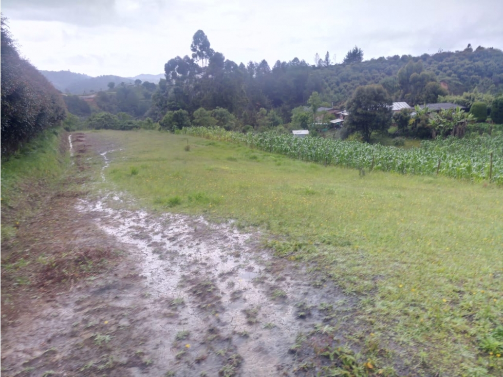 HERMOSO LOTE SAN VICENTE VEREDA LA ENEA — foto 4