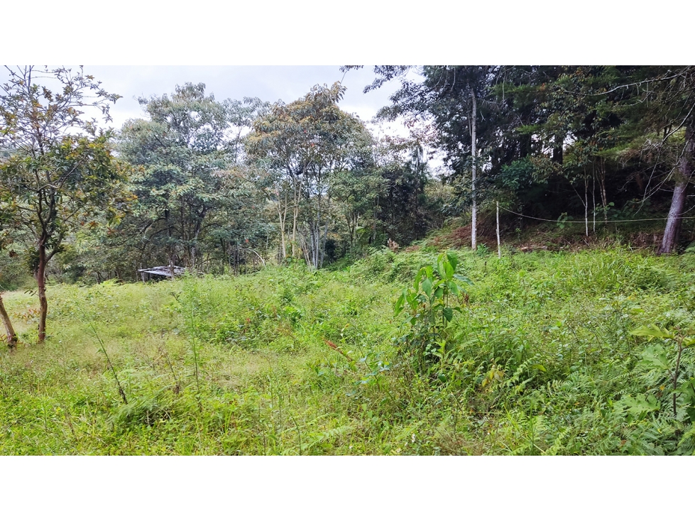 LOTE EN SANTUARIO VEREDA POTRERITO SE PUEDE SUBDIVIDIR EN 5 LOTES — foto 2