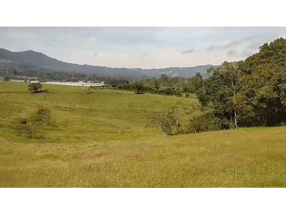 HERMOSO LOTE EN CONDOMINIO VIA RIONEGRO LA CEJA — foto 3