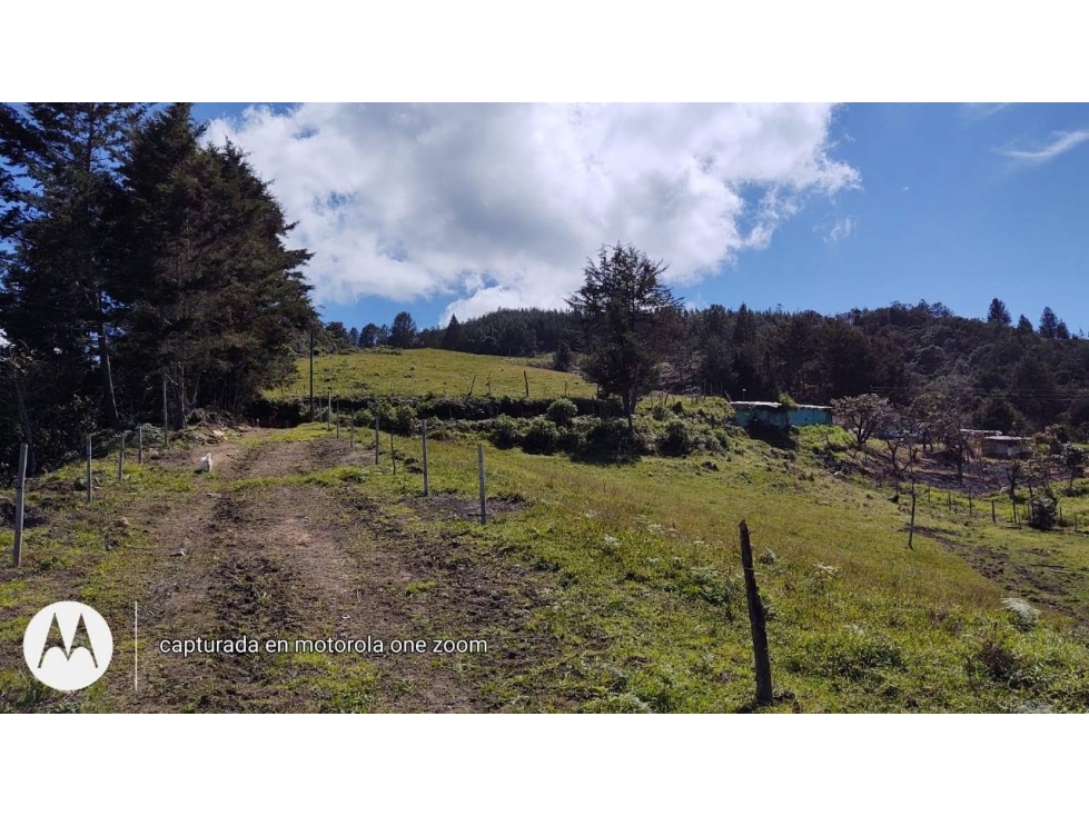 LOTE GUARNE VEREDA GUAPANTE PERFECTO PARA PARCELAR — foto 2