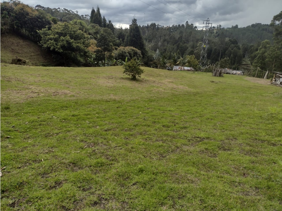 LOTE GUARNE PROINDIVISO PERFECTO PARA PARCELAR — foto 5