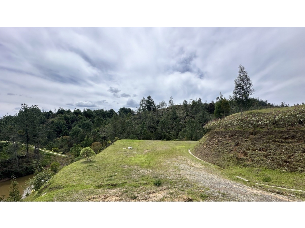 HERMOSO LOTE EN PARCELACION DON DIEGO VIA LA CEJA — foto 2