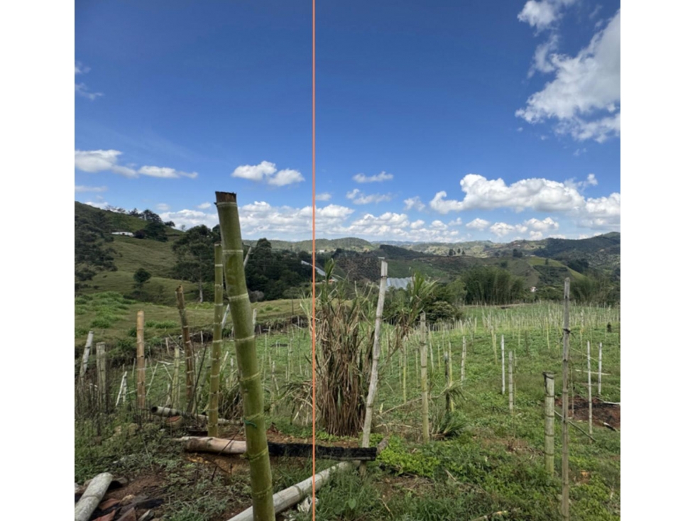 HERMOSOS LOTES EN LOTIZACION ABIERTA SAN VICENTE VIA EL PEÑOL — foto 4