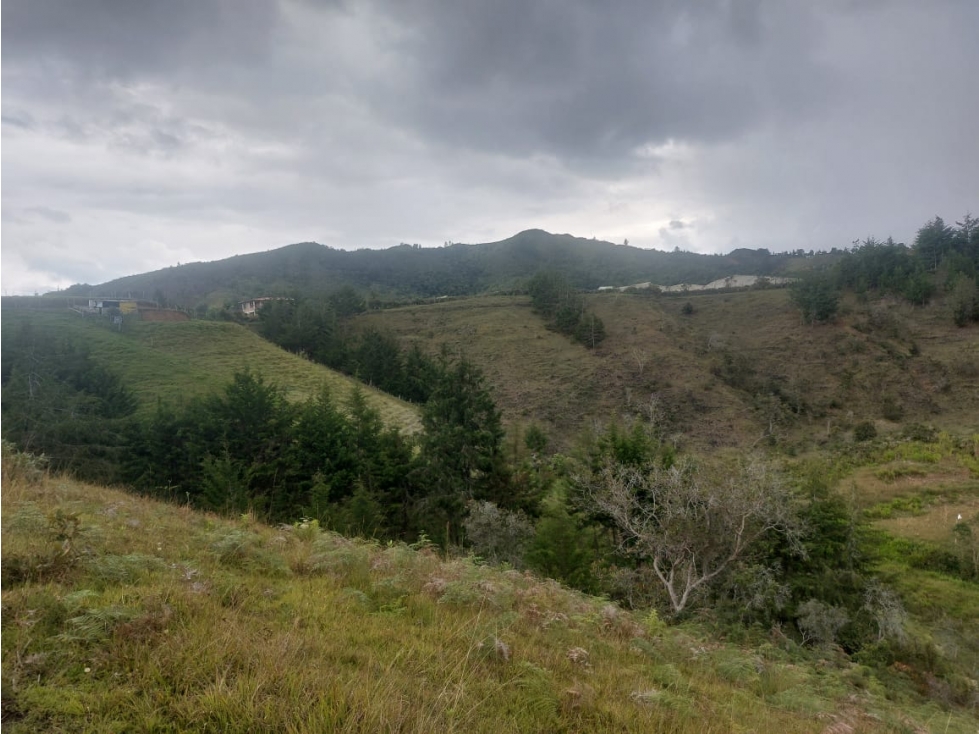 GRAN OPORTUNIDAD DE VIVIR RODEADO CAMPO GUARNE VEREDA LA ENEA — foto 2