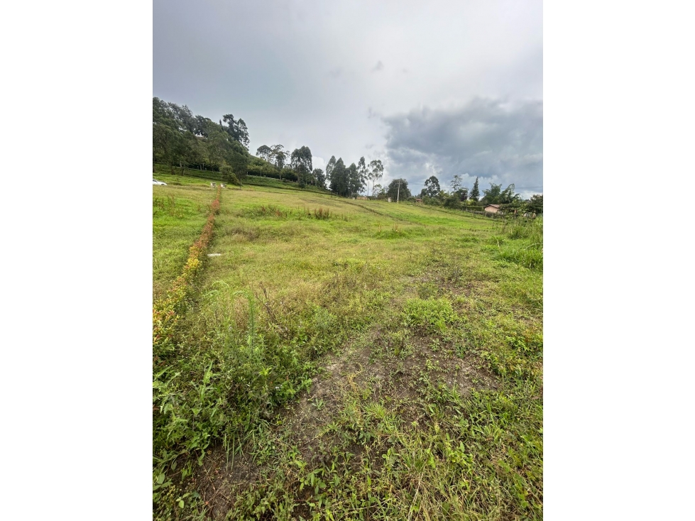 HERMOSO LOTE EN LA CEJA EN UNIDAD CERRADA SECTOR EL TAMBO — foto 2