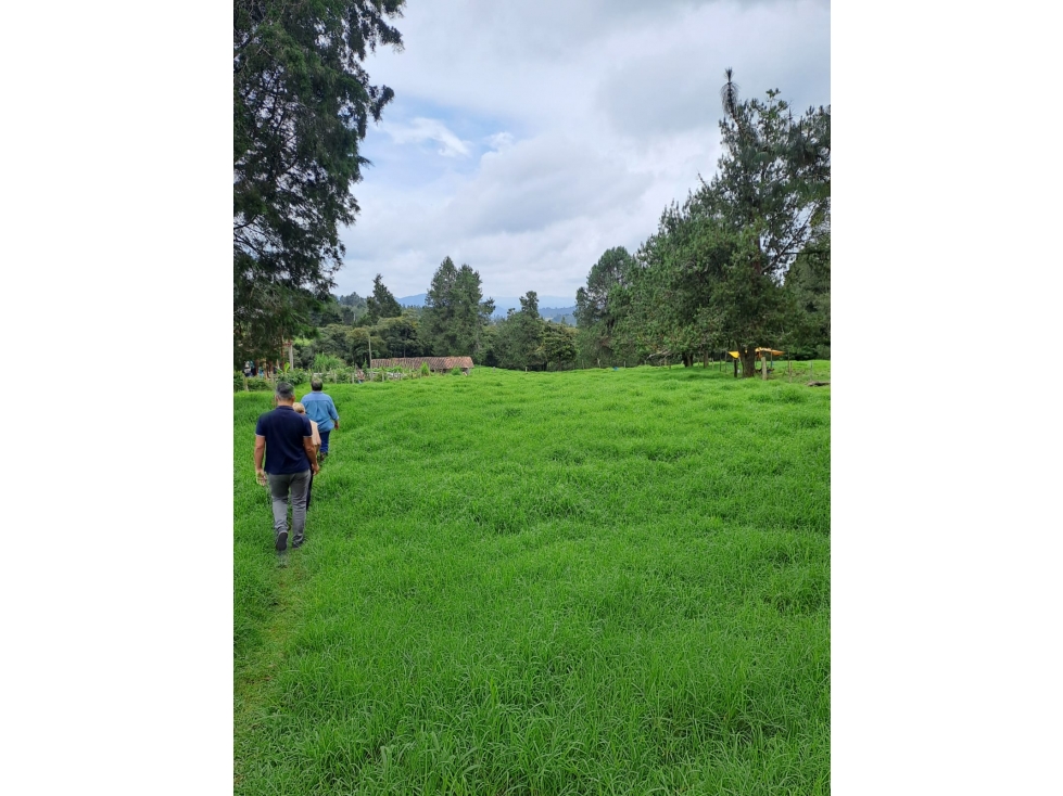 LOTE SANTA ELENA VEREDA SAN ISIDRO — foto 2