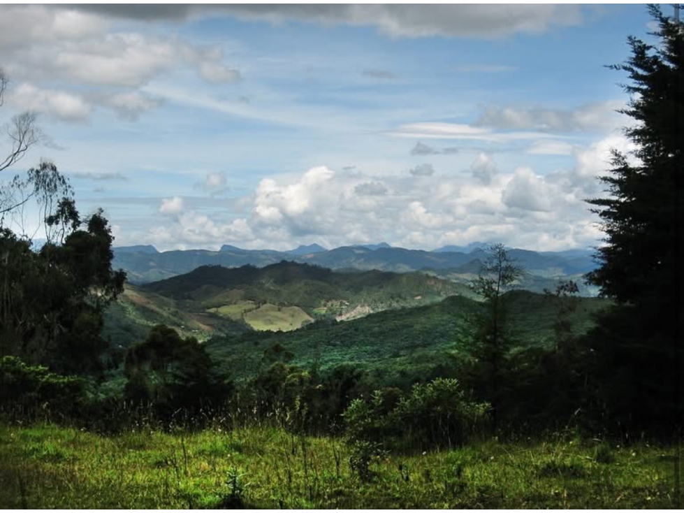 LOTE EN PARCELACION GUARNE VEREDA LA MOSQUITA — foto 3