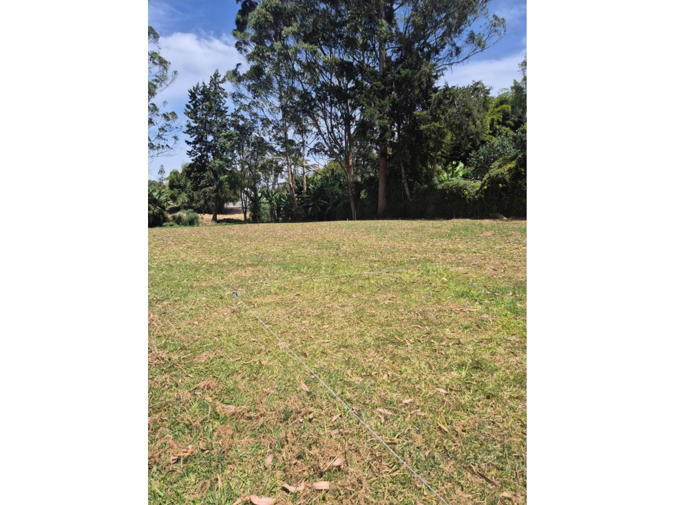 HERMOSO LOTE PLANO EN LLANOGRANDE VEREDA LA AMALITA — foto 2