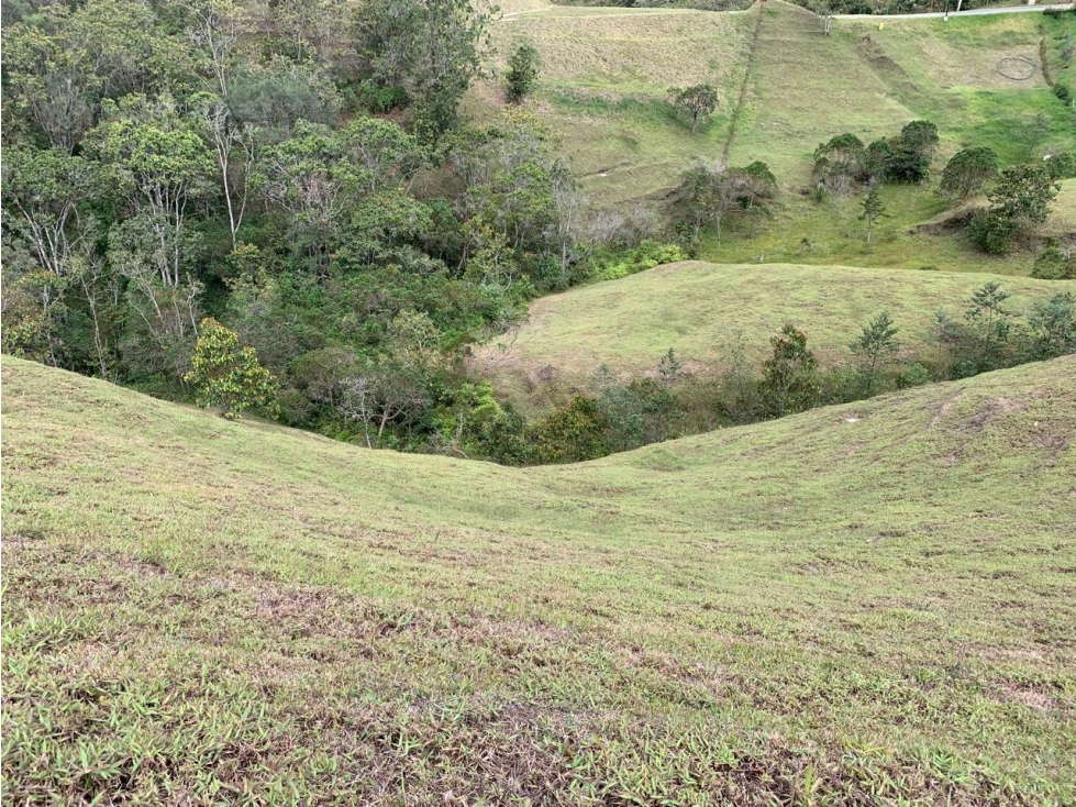 LOTE EL RETIRO VEREDA PANTANILLO EN PARCELACION — foto 2