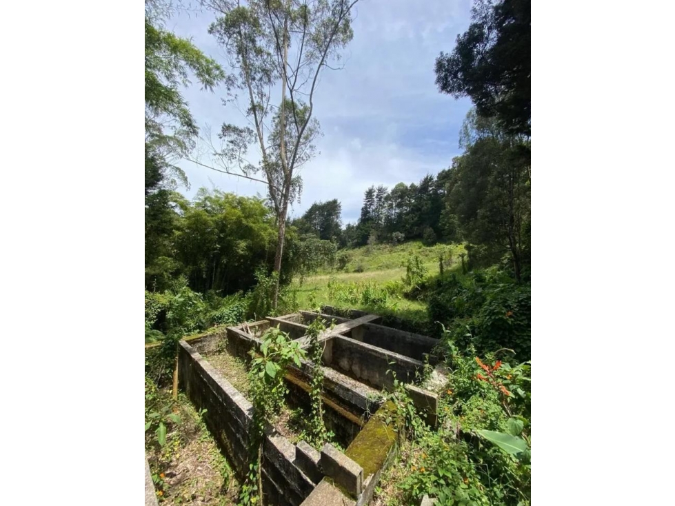 LOTE GUARNE AUTOPISTA MEDELLIN BOGOTA - 2
