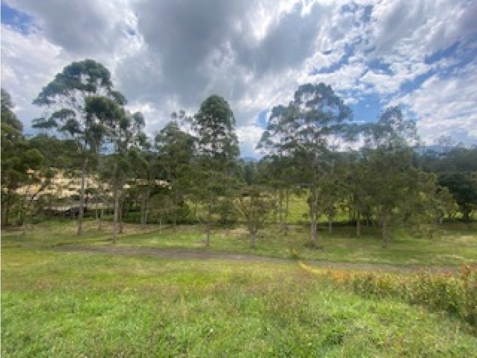 LOTE ORIENTE PARCELACION EL RETIRO SECTOR FIZEBAD — foto 6