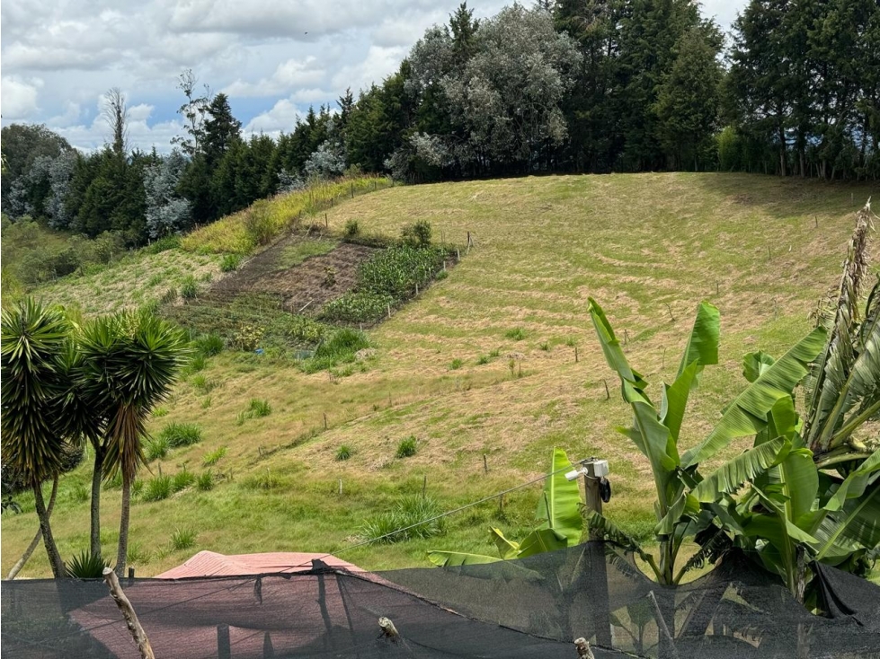 FINCA RIONEGRO CON AMPLIO LOTE SECTOR LA MOSQUITA — foto 4
