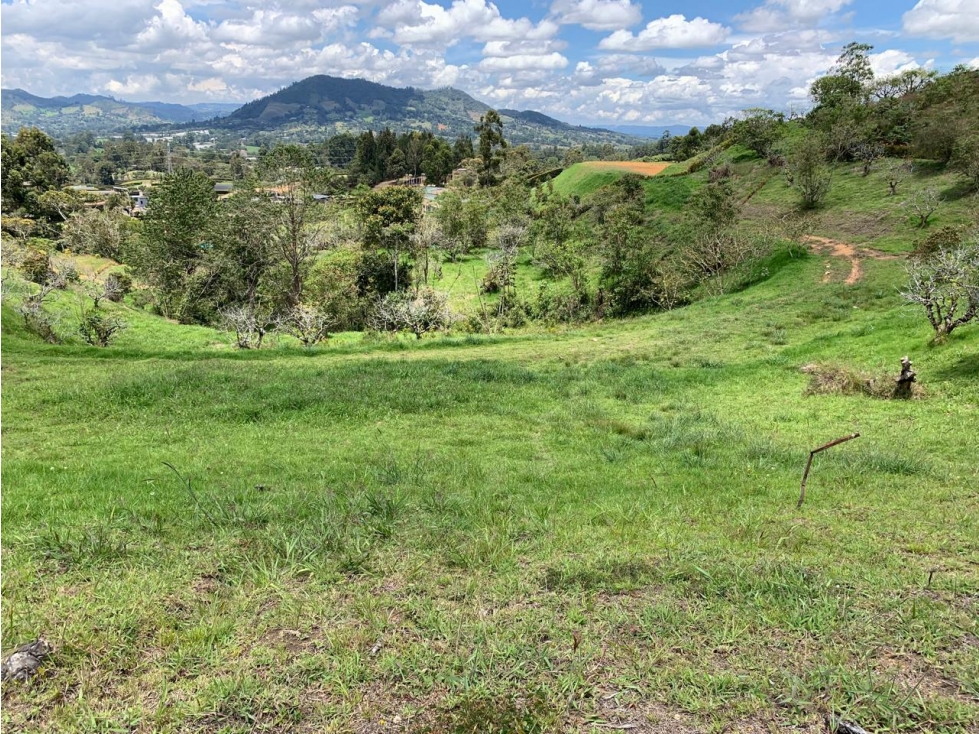 LOTE LA CEJA CON HERMOSA VISTA AL CERRO EL CAPIRO - 3