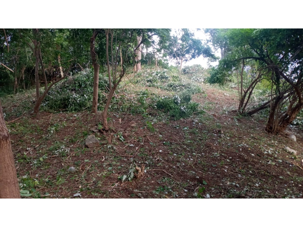 LOTE SANTA MARTA CERCA AL PARQUE NACIONAL TAYRONA - 3