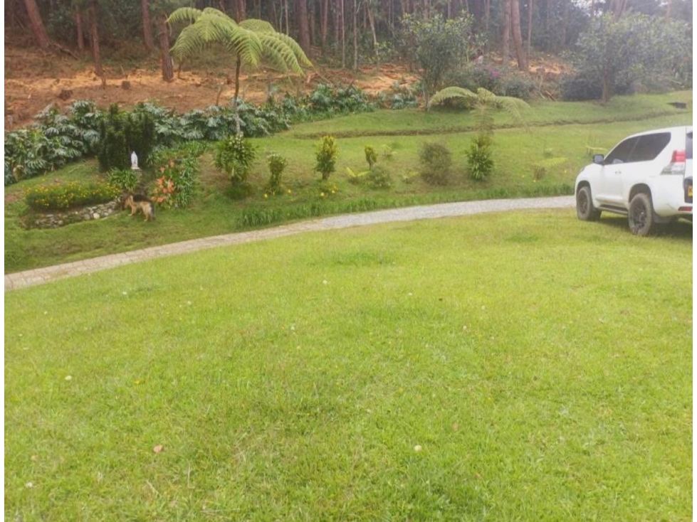 FINCA EN EL RETIRO VEREDA DON DIEGO — foto 2
