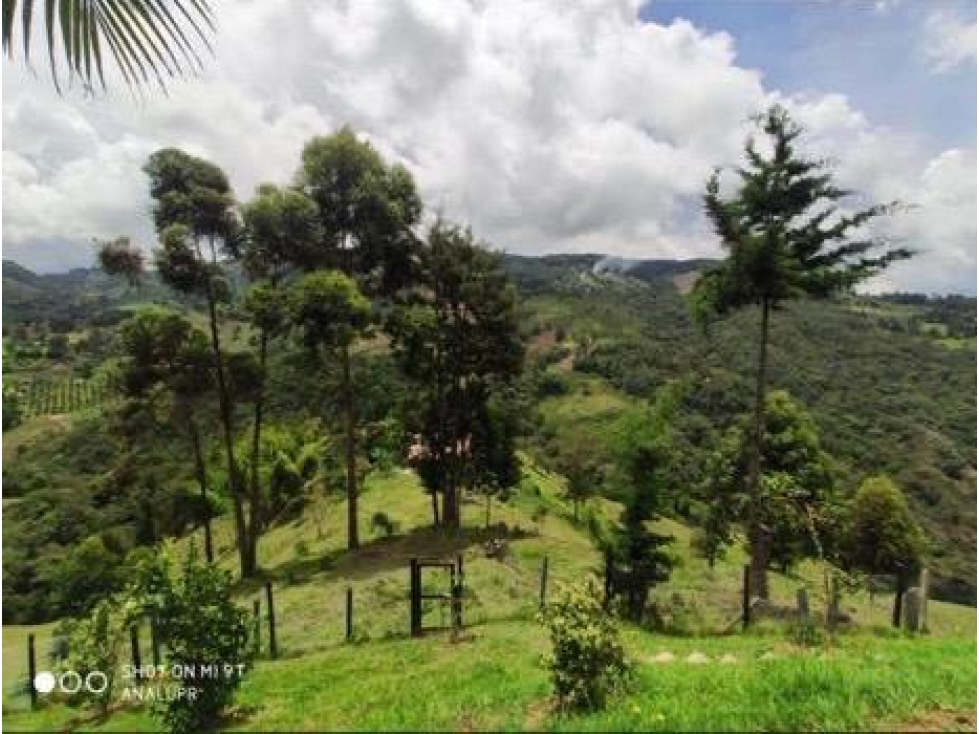 FINCA INDEPENDIENTE EL RETIRO VEREDA NAZARETH — foto 2