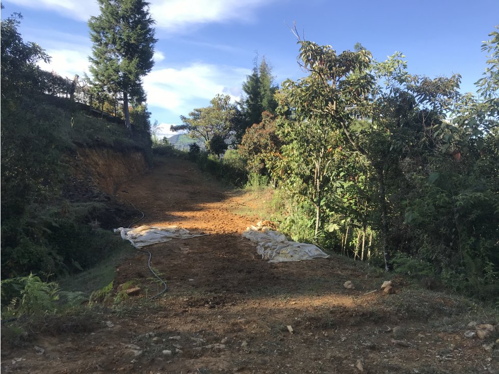 LOTE INDEPENDIENTE GUARNE VEREDA EL SANGO PARTE ALTA - 3