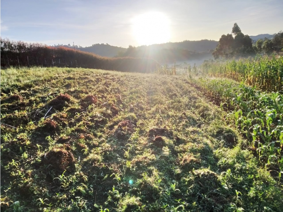 HERMOSO LOTE SAN VICENTE VEREDA LA ENEA — foto 2
