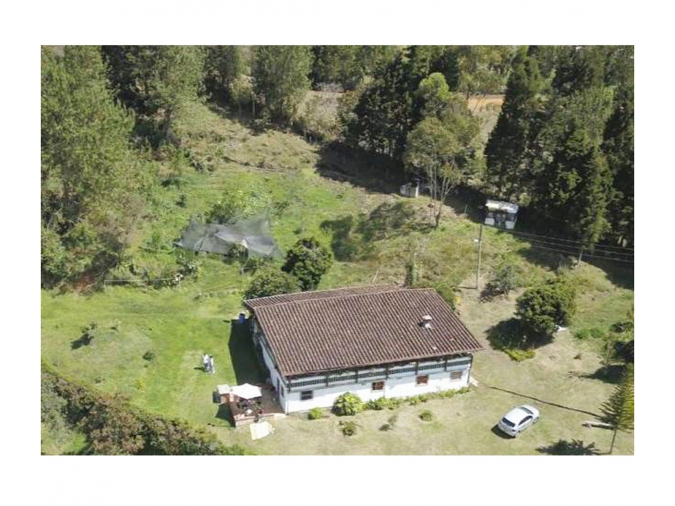 FINCA INDEPENDIENTE EN GUARNE VEREDA EL SALADO VIA PIEDRAS BLANCAS — foto 3