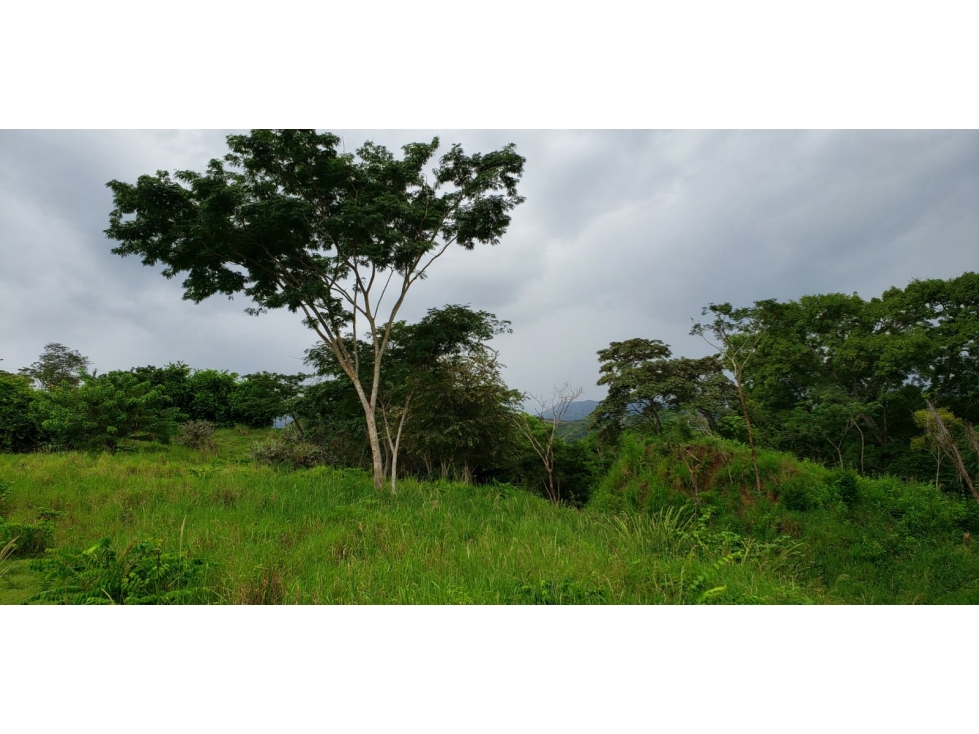 LOTE EN PARCELACION EN SOPETRAN CERCA AL PARQUE — foto 3