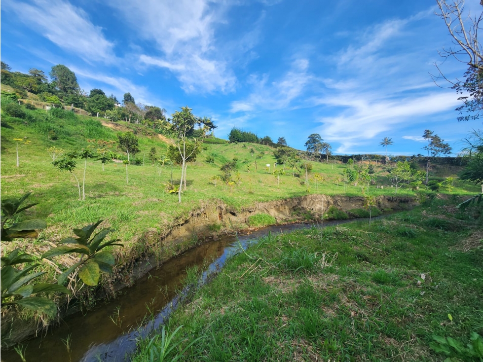 LOTE GUARNE VEREDA JUAN XXIII CON AGUA PROPIA — foto 3