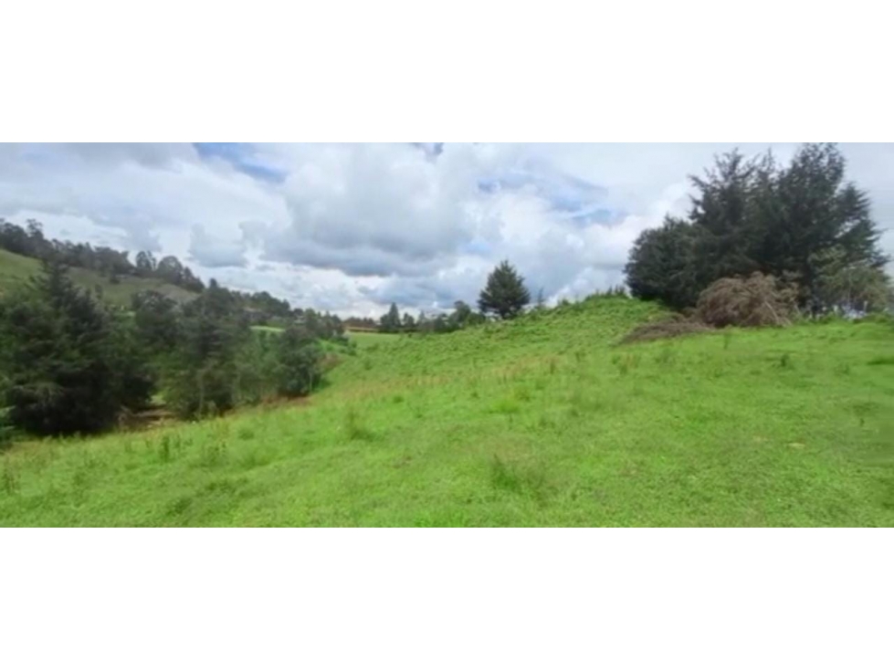 LOTE ORIENTE PARA PARCELAR EL RETIRO VEREDA EL CHUSCAL