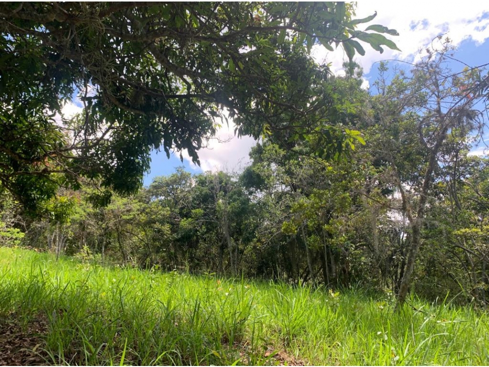 LOTE UBICADO EN ZONA EXCLUSIVA DE BARICHARA - 3